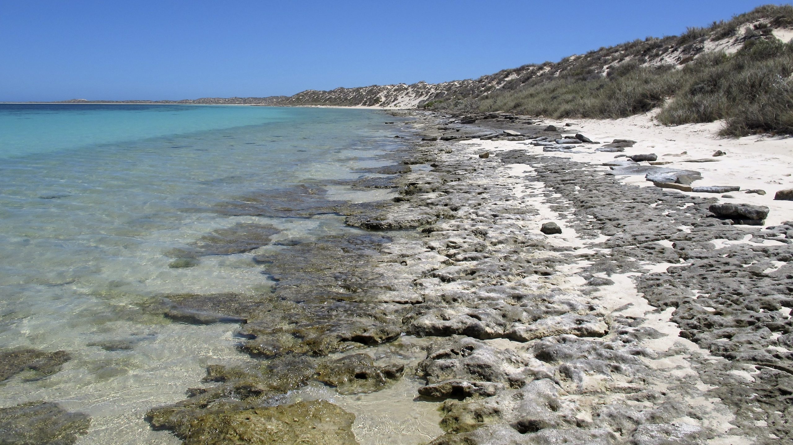 Dissolving coral reef